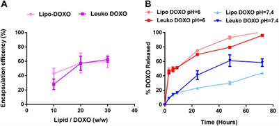 Optimization of Biomimetic, Leukocyte-Mimicking Nanovesicles for Drug Delivery Against Colorectal Cancer Using a Design of Experiment Approach